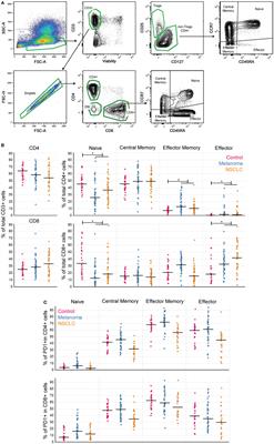 Circulating T Cell Subpopulations Correlate With Immune Responses at the Tumor Site and Clinical Response to PD1 Inhibition in Non-Small Cell Lung Cancer